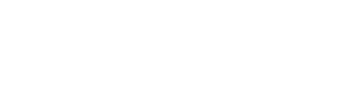 Ricardo Paulini